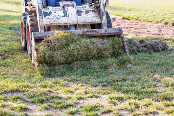 Cost of Landscape Leveling in La Porte