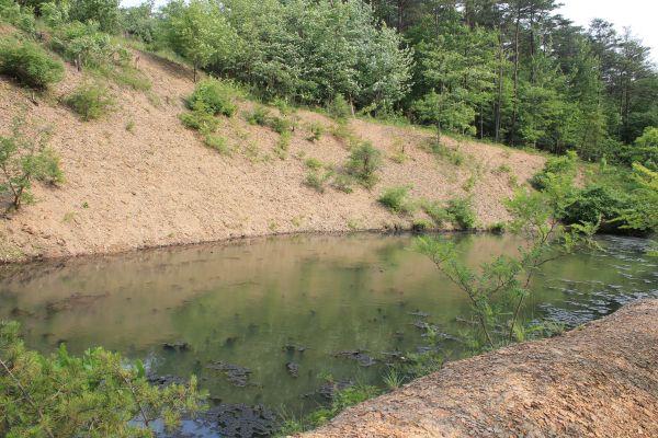 Cost of Pond Erosion Repair in La Porte