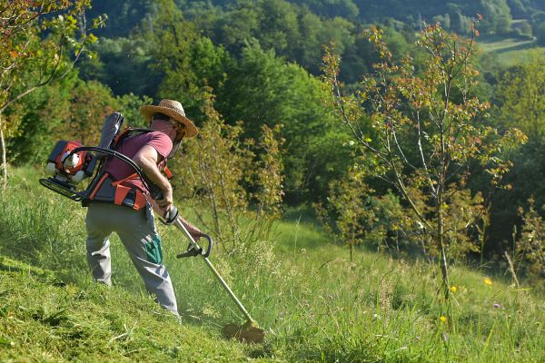 Cost of Slope Trimming in La Porte